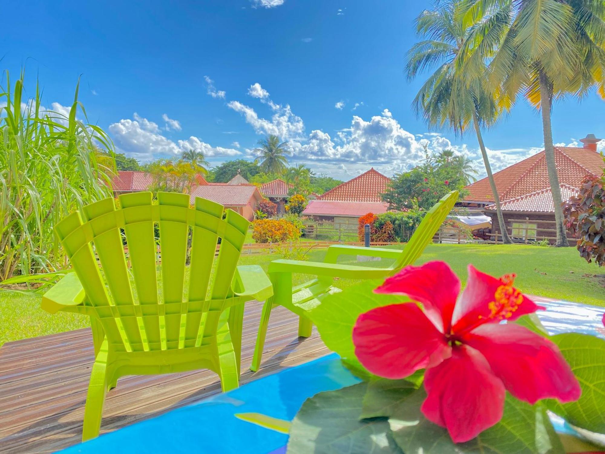 Studio Petite Plage - Pieds Dans L'Eau Sainte-Anne Bagian luar foto